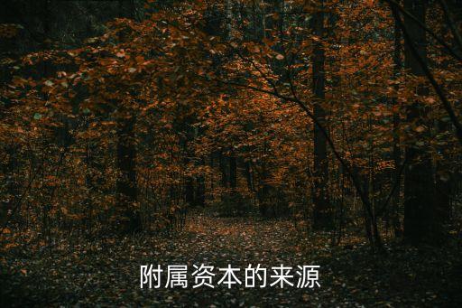 附屬資本的來(lái)源