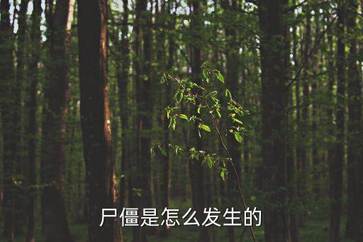 尸僵，關(guān) 于 尸 僵 問 題