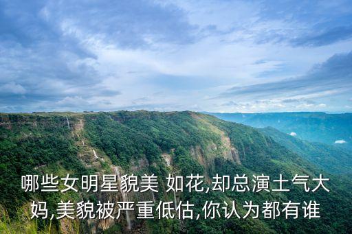 哪些女明星貌美 如花,卻總演土氣大媽,美貌被嚴(yán)重低估,你認(rèn)為都有誰