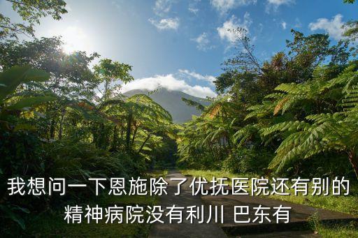 我想問(wèn)一下恩施除了優(yōu)撫醫(yī)院還有別的精神病院沒(méi)有利川 巴東有