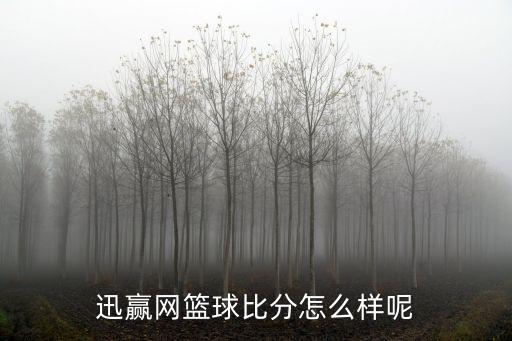 迅幫網(wǎng)，迅聯(lián)網(wǎng)是怎么樣的你在做嗎