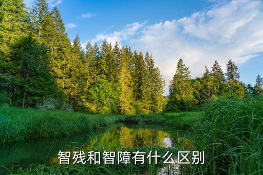 智殘，什么是智力二級(jí)殘