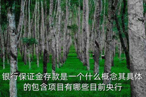 保證金存款，信用證保證金存款是什么意思