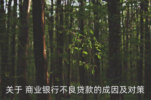 銀行不良貸款，關(guān)于 商業(yè)銀行不良貸款的成因及對(duì)策