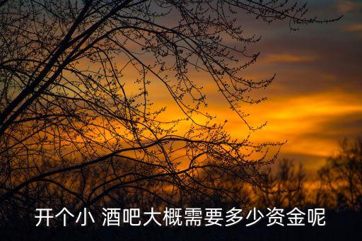 開個小 酒吧大概需要多少資金呢