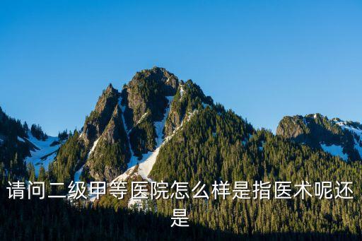 請問二級甲等醫(yī)院怎么樣是指醫(yī)術(shù)呢還是