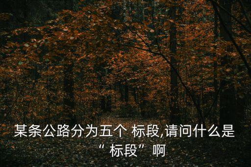某條公路分為五個(gè) 標(biāo)段,請(qǐng)問什么是“ 標(biāo)段”啊