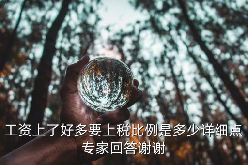 交稅比例，現(xiàn)在開(kāi)店的納稅比例是多少