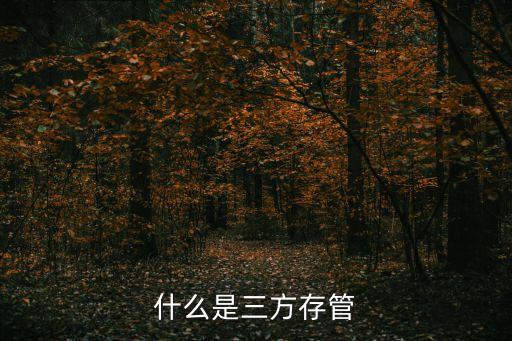 第三方存管，第三方存管什么意思