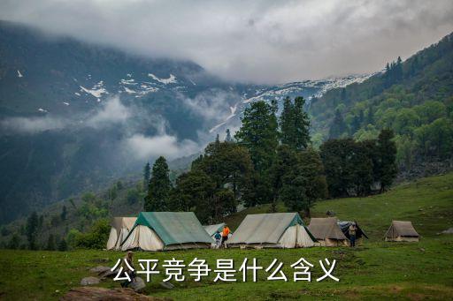 公平競爭，什么是公平競爭