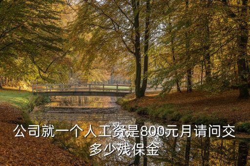 公司就一個(gè)人工資是800元月請(qǐng)問(wèn)交多少殘保金