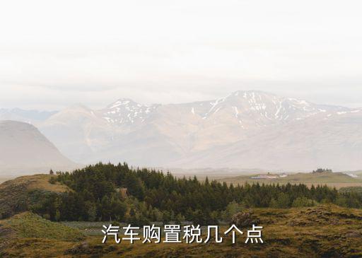 汽車購置稅幾個點