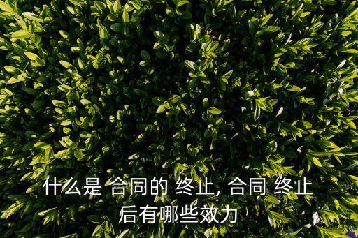 合同終止還要履行嗎
