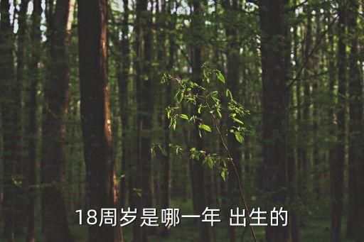 18周歲是哪一年 出生的