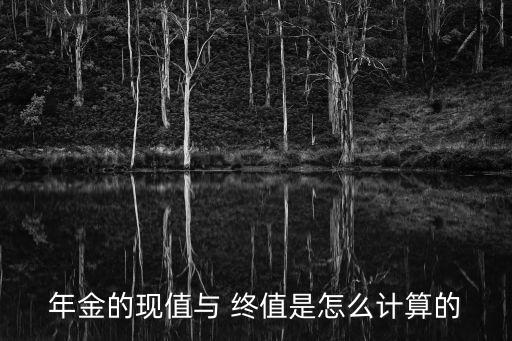 年金的現(xiàn)值與 終值是怎么計算的