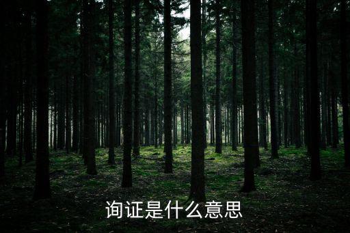 詢證，詢證是什么意思
