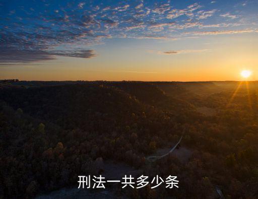 刑法有多少條，刑法一共多少條