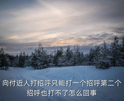 向付，向付近人打招呼只能打一個招呼第二個招呼也打不了怎么回事