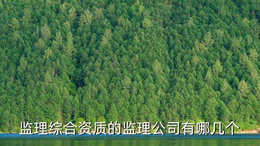 監(jiān)理綜合資質(zhì)的監(jiān)理公司有哪幾個