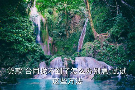 借款合同電子版圖片,房貸借款合同電子版在哪看