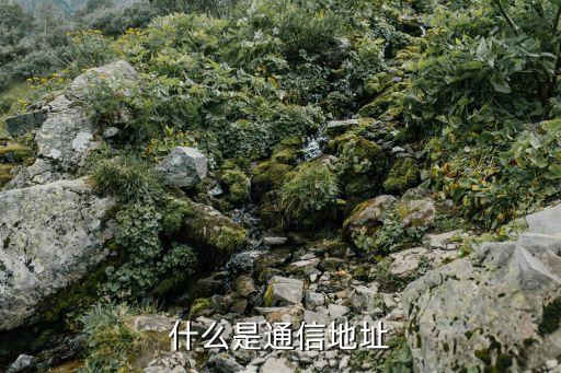 什么是通信地址