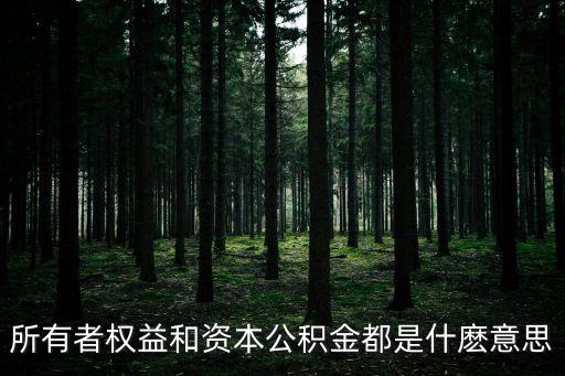 所有者權(quán)益和資本公積金都是什麼意思