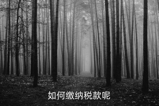 如何繳納稅款呢