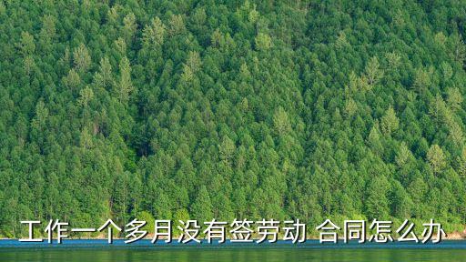 工作一個(gè)多月沒(méi)有簽勞動(dòng) 合同怎么辦