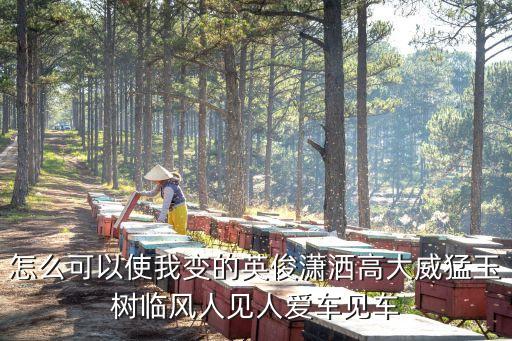 怎么可以使我變的英俊瀟灑高大威猛玉樹臨風(fēng)人見人愛車見車
