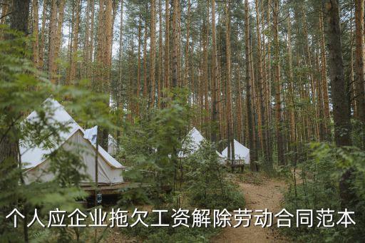 個(gè)人應(yīng)企業(yè)拖欠工資解除勞動(dòng)合同范本