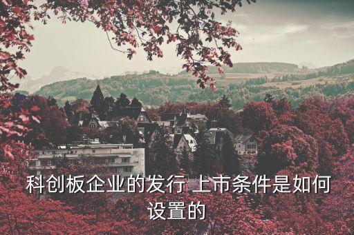 科創(chuàng)板上市規(guī)則,上交所科創(chuàng)板上市規(guī)則