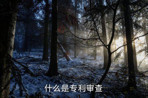 什么是專利審查