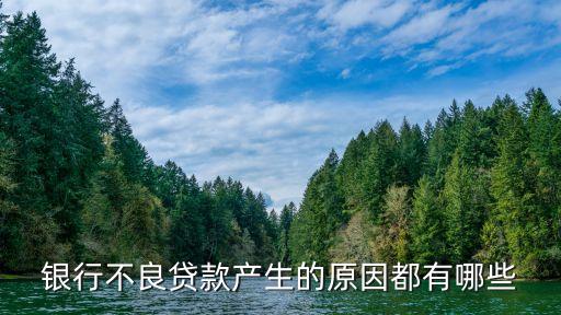 銀行不良貸款產(chǎn)生的原因都有哪些