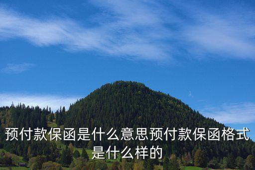 預(yù)付款保函，預(yù)付款保函