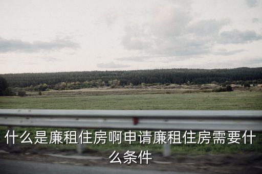 什么是廉租房，什么是廉租房