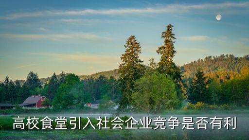 高校食堂引入社會企業(yè)競爭是否有利