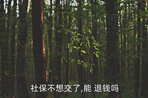 社保可以退錢嗎,靈活就業(yè)社?？梢酝隋X嗎