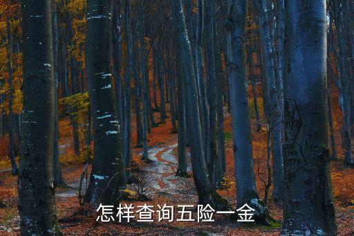五險(xiǎn)一金查詢，怎樣查詢自己的五險(xiǎn)一金繳納情況