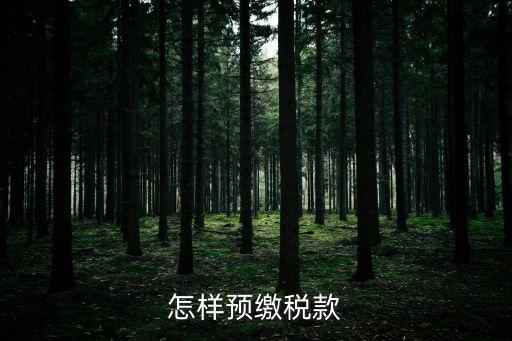 怎樣預(yù)繳稅款