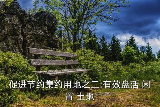 促進(jìn)節(jié)約集約用地之二:有效盤活 閑置 土地