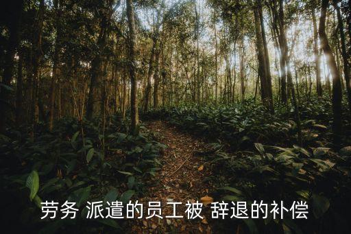 用人單位辭退派遣工怎么賠償,2023勞務派遣新政策