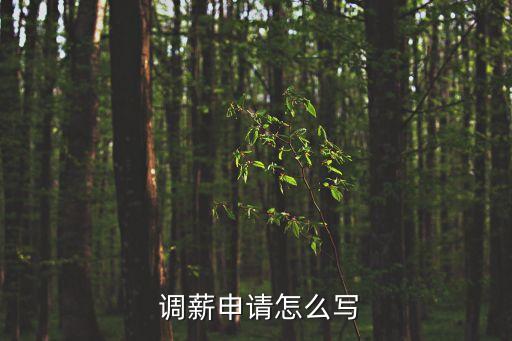  調(diào)薪申請怎么寫