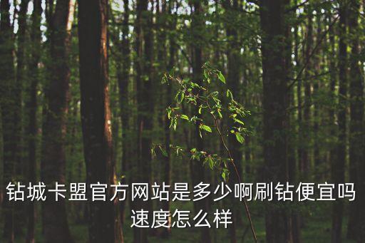 鉆城卡盟官方網(wǎng)站是多少啊刷鉆便宜嗎速度怎么樣