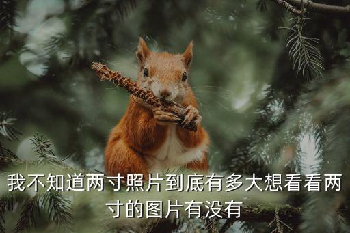 我不知道兩寸照片到底有多大想看看兩寸的圖片有沒有