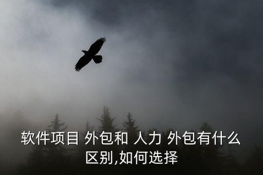 人力資源外包合同