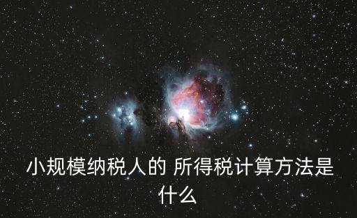 小規(guī)模所得稅