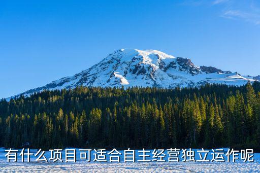 有什么項(xiàng)目可適合自主經(jīng)營(yíng)獨(dú)立運(yùn)作呢