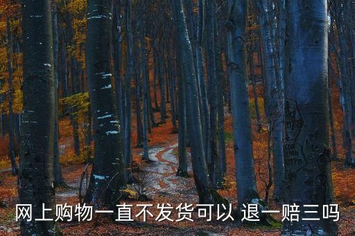 網(wǎng)上購物一直不發(fā)貨可以 退一賠三嗎
