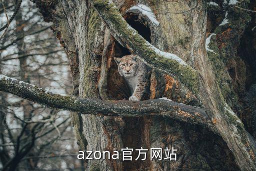 宿城在線官網(wǎng)，azona官方網(wǎng)站
