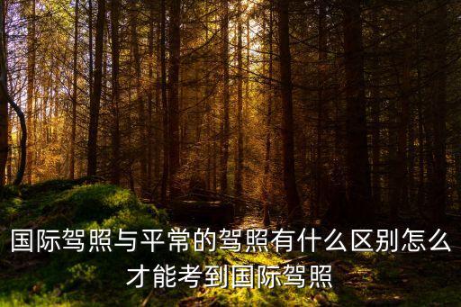 國際駕照，如何申辦國際駕照
